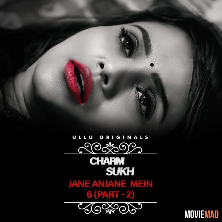 Charmsukh Jane Anjane Mein 6 (Part 2) (2023) Hindi Ullu Web Series 1080p 720p 480p