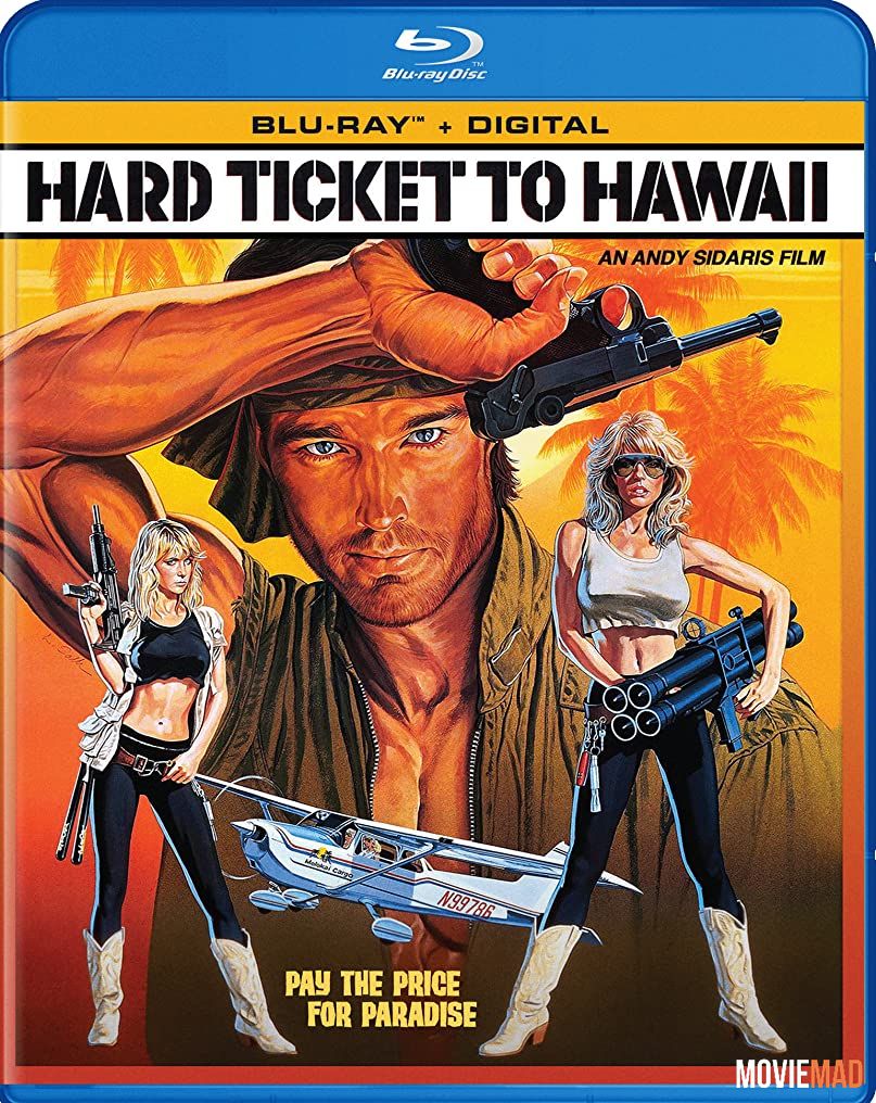 Hard Ticket to Hawaii 1987 UNRATED Hindi Dual Audio 480p 720p Movie