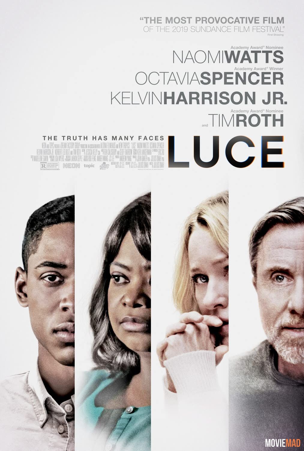 Luce 2019 Hindi Dubbed ORG BluRay Full Movie Netflix 720p 480p