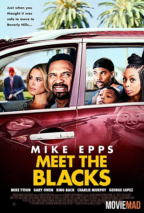 Meet the Blacks (2016) Hindi Dubbed 480p 720p HDRip