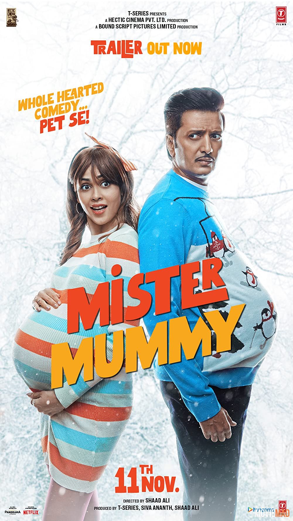 Mister Mummy (2022) Hindi NF HDRip Full Movie 720p 480p