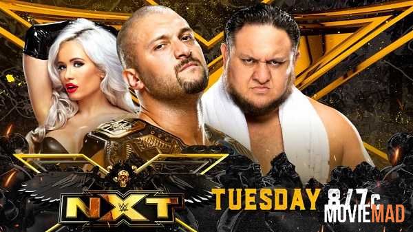 WWE NXT 17 August (2021) English WEBRip 720p 480p